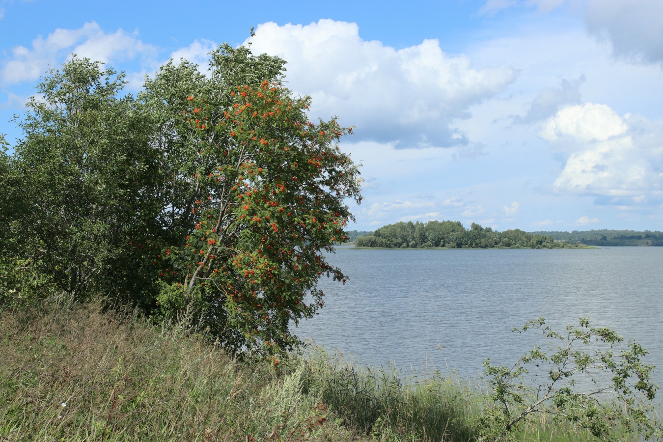 Езерище и окрестности, image of landscape/habitat.