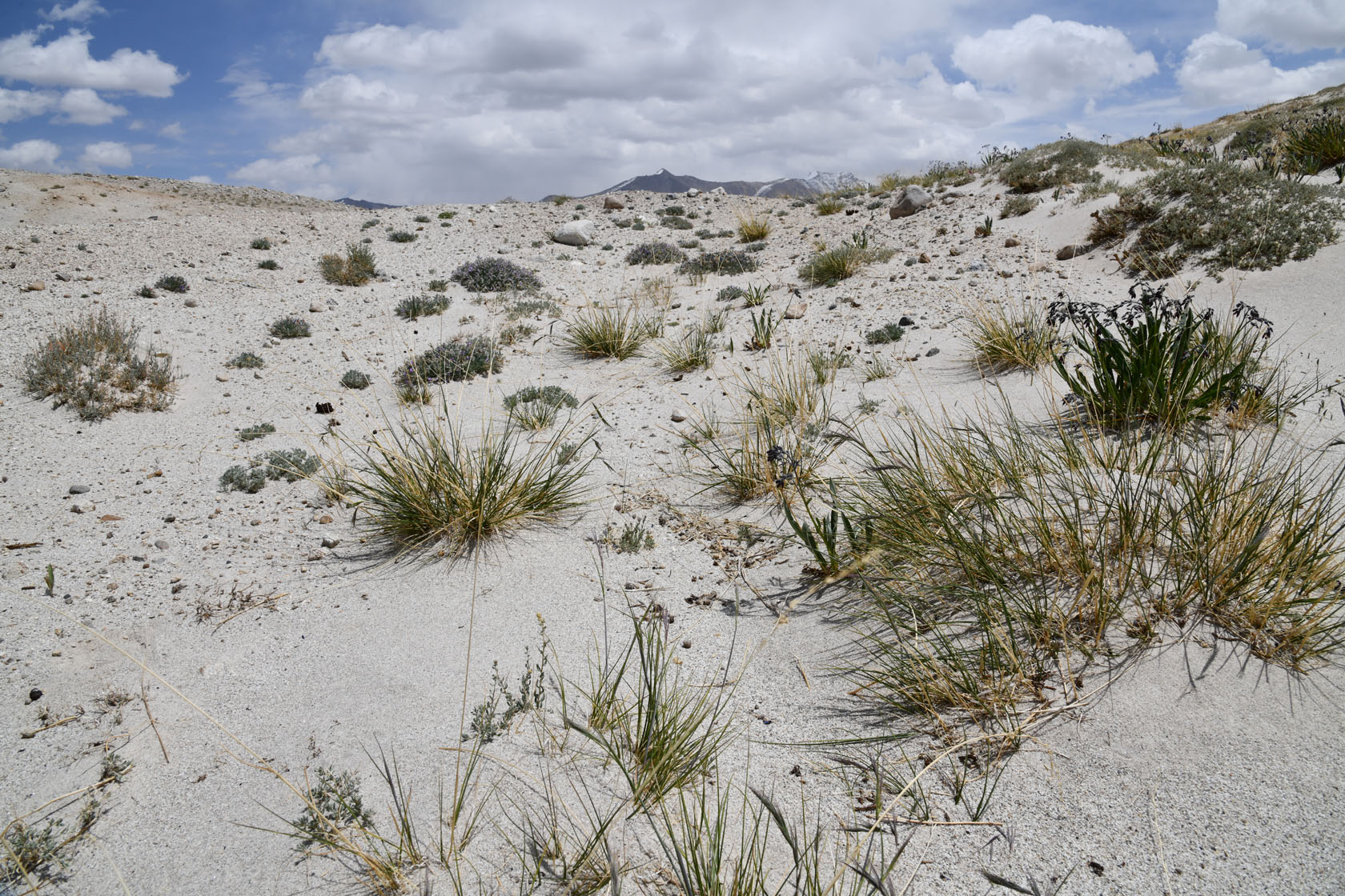 Тагаркаты, image of landscape/habitat.