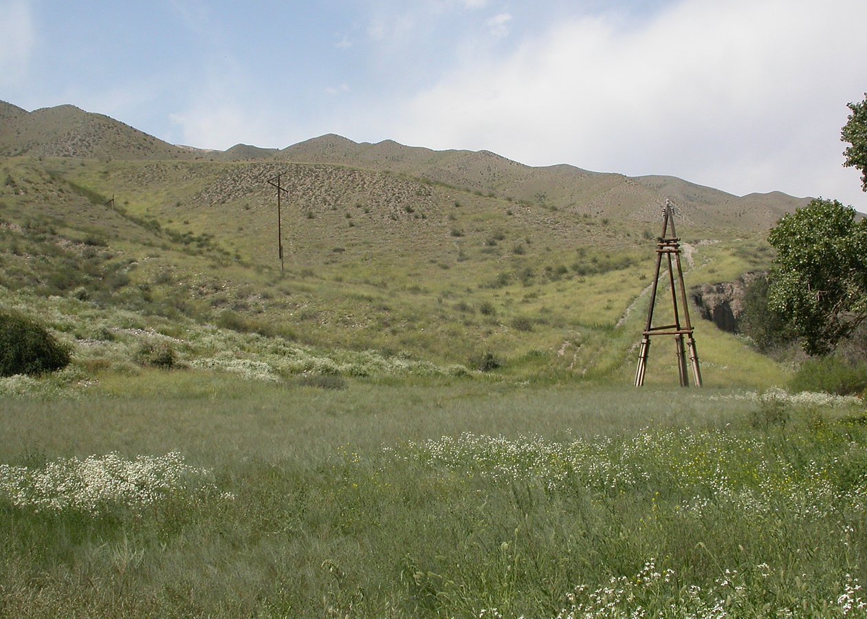 Верховья Шарына, image of landscape/habitat.