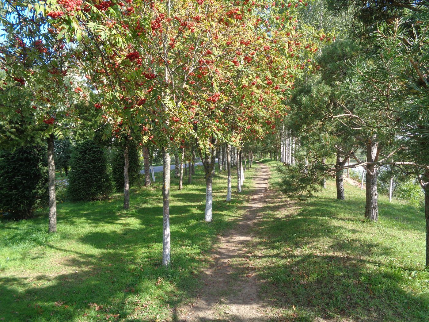 Соминка, image of landscape/habitat.