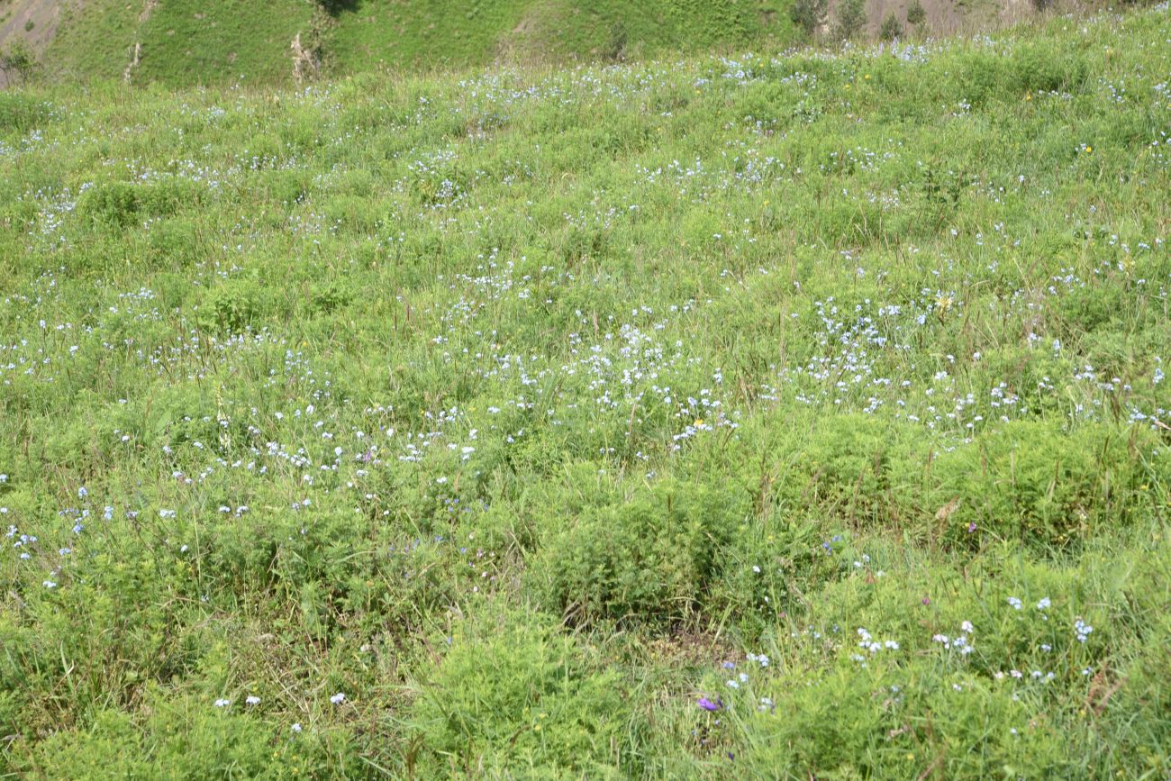 Окрестности урочища Мусиево, image of landscape/habitat.