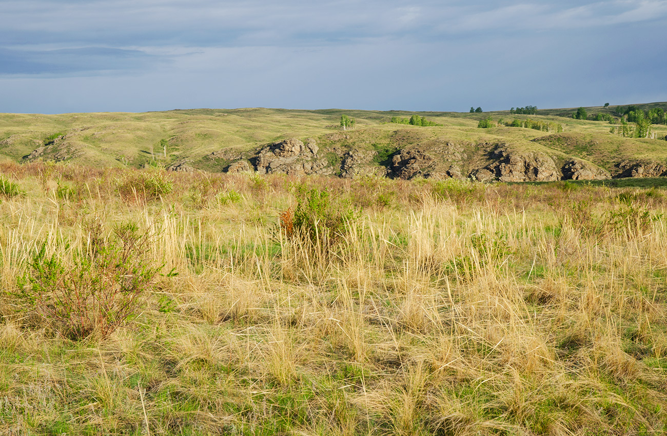 Богдановское, image of landscape/habitat.