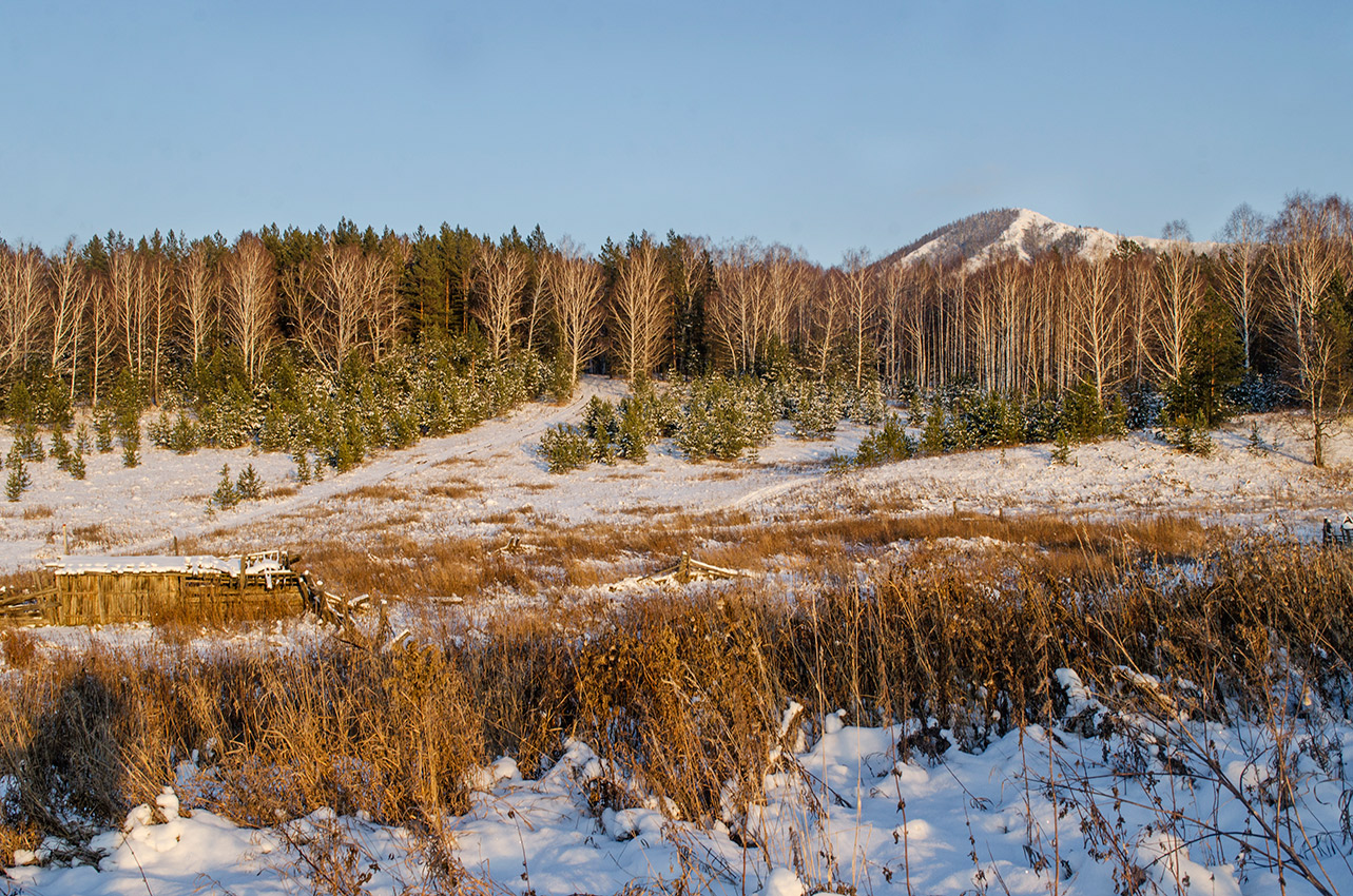 Хребет Суртанды, image of landscape/habitat.