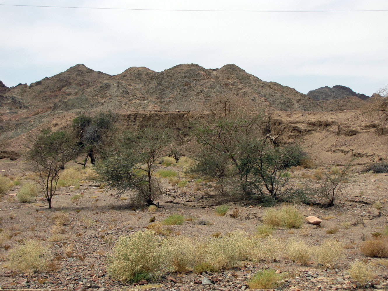 Эйлатские горы, image of landscape/habitat.