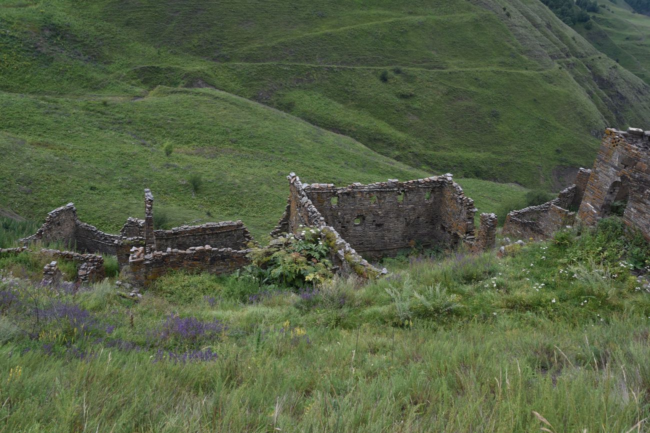 Шикарой и окрестности, image of landscape/habitat.