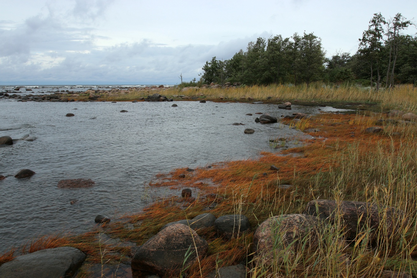 Каравалдай, image of landscape/habitat.