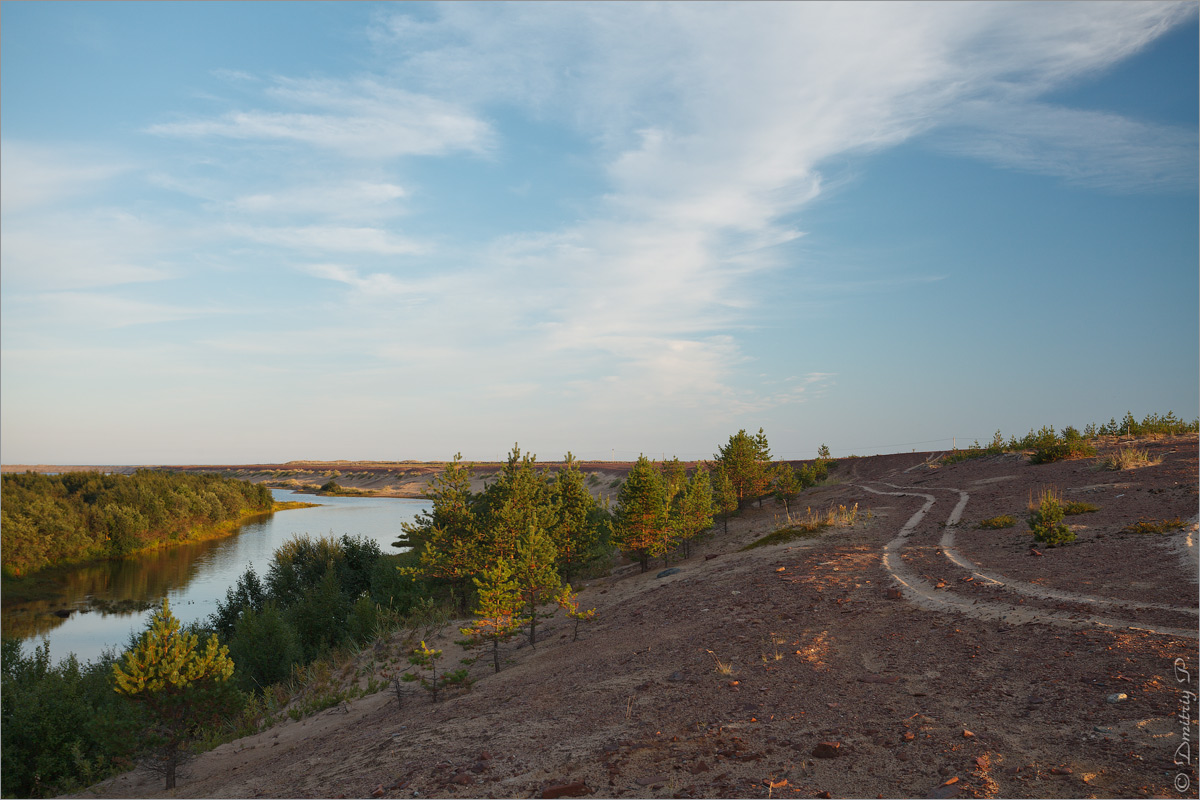 Кузоменьские пески, image of landscape/habitat.