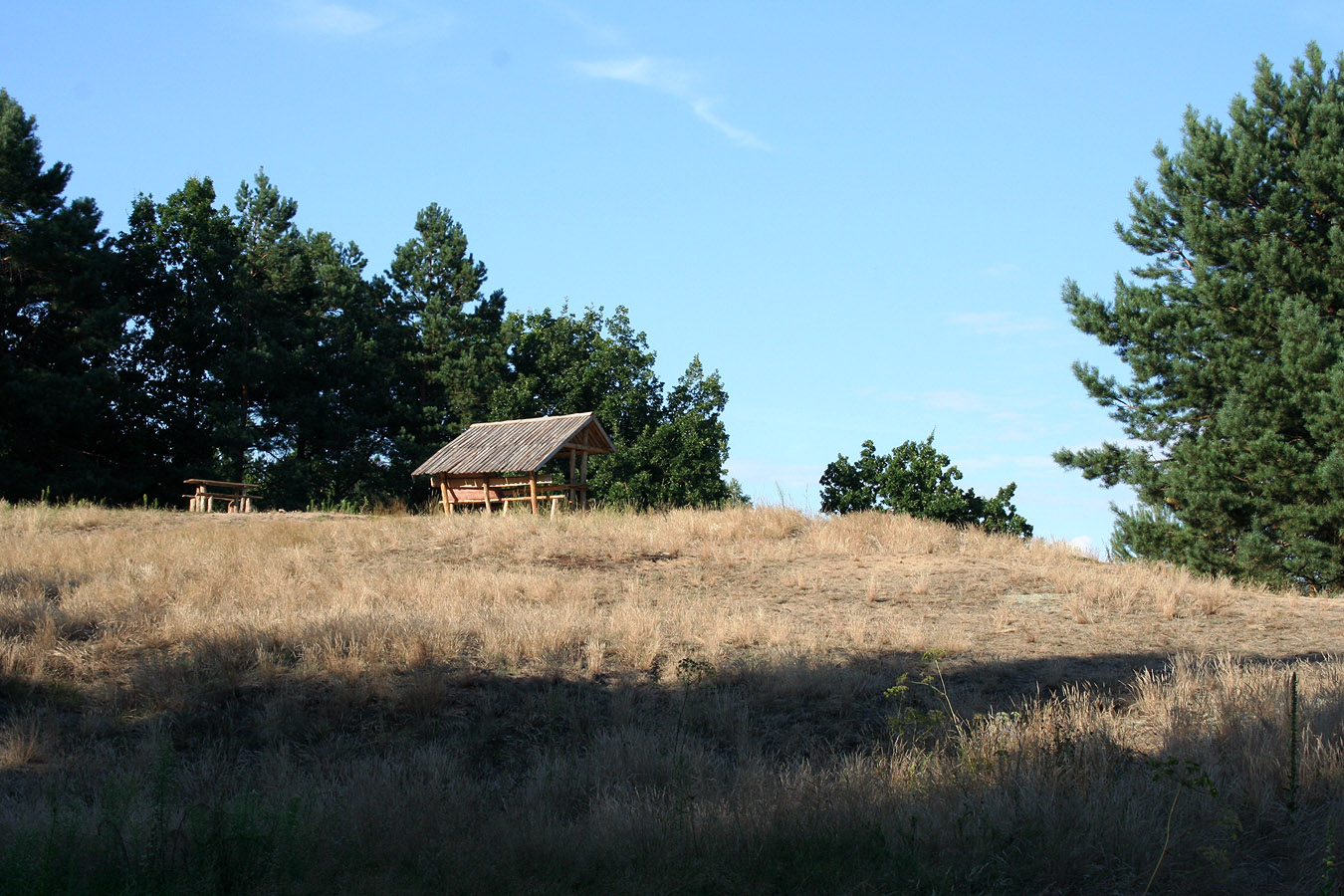 Муравина, image of landscape/habitat.