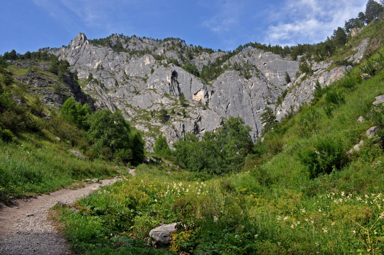 Урочище Чечкыш, image of landscape/habitat.