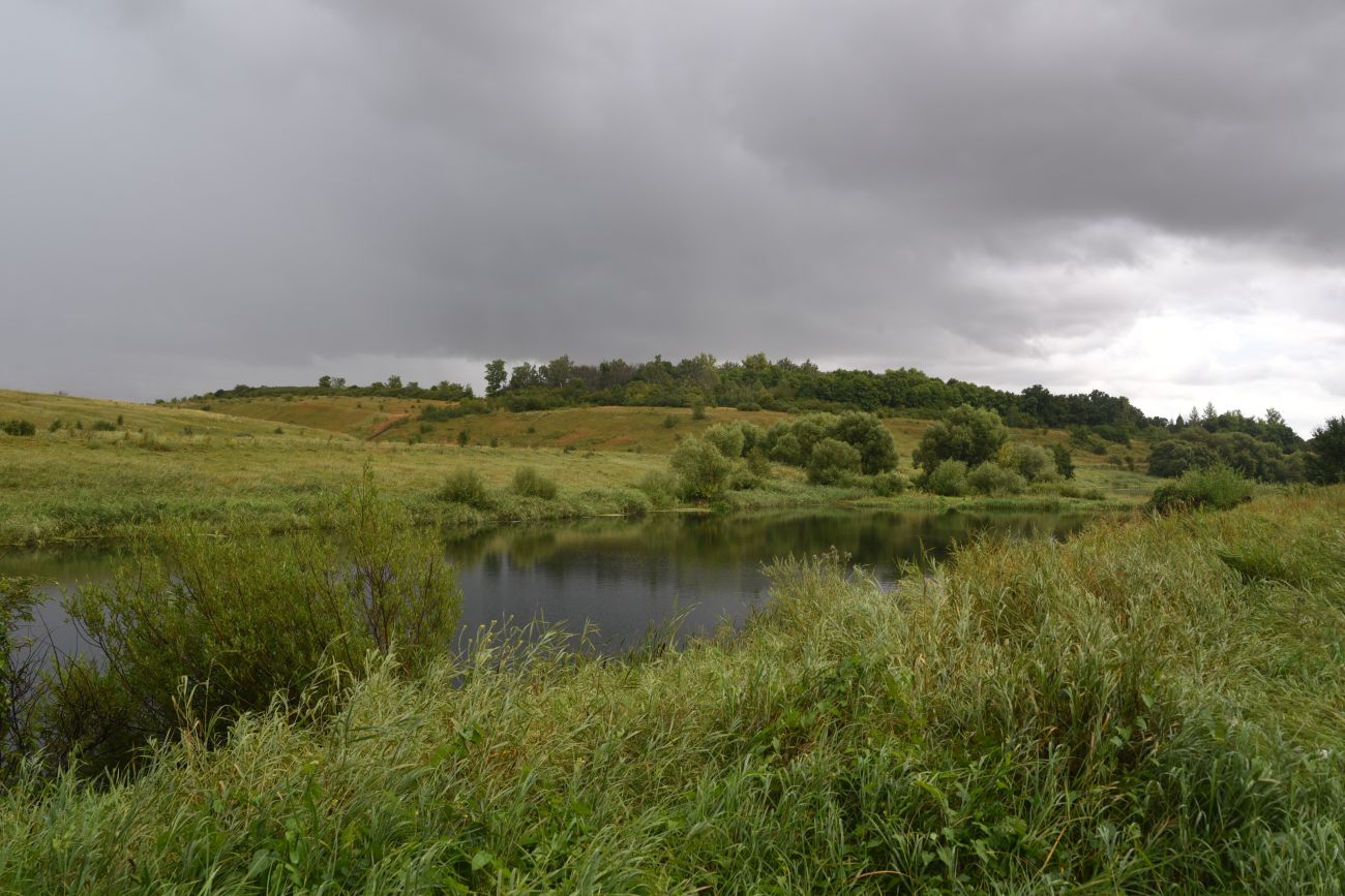 Балка Крутой Овраг, image of landscape/habitat.