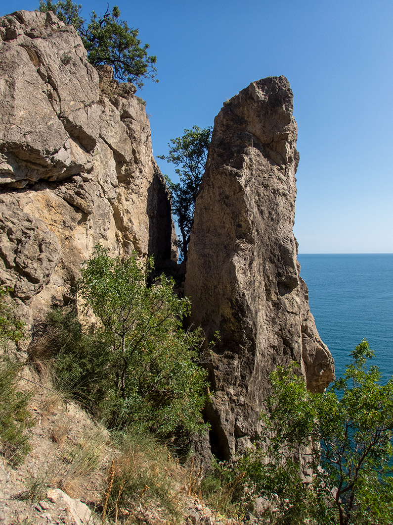 Тропа Голицына, image of landscape/habitat.