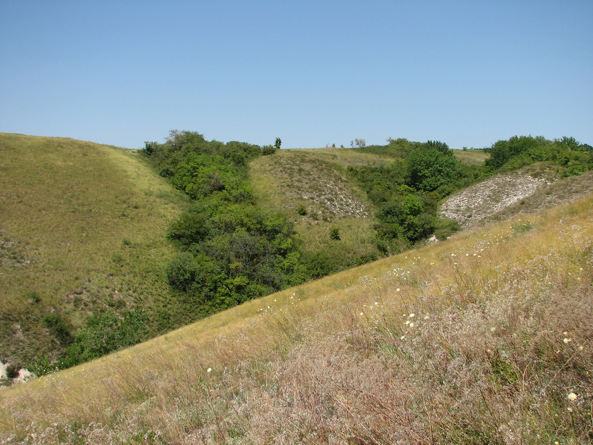 Белокузьминовка, image of landscape/habitat.