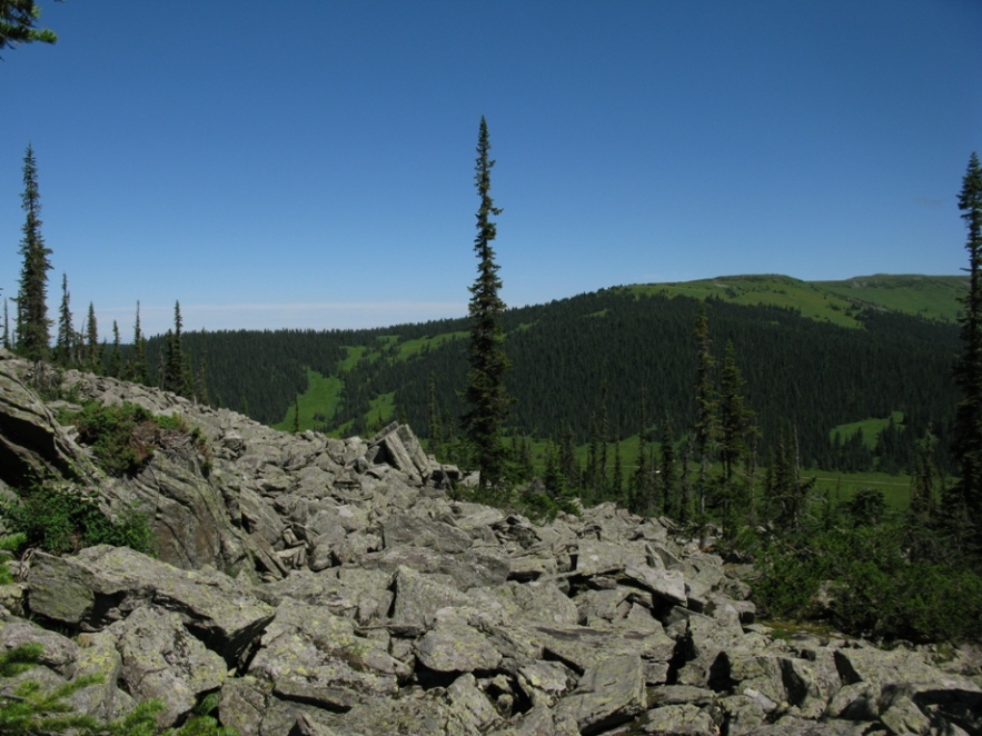 Каменный Город, image of landscape/habitat.