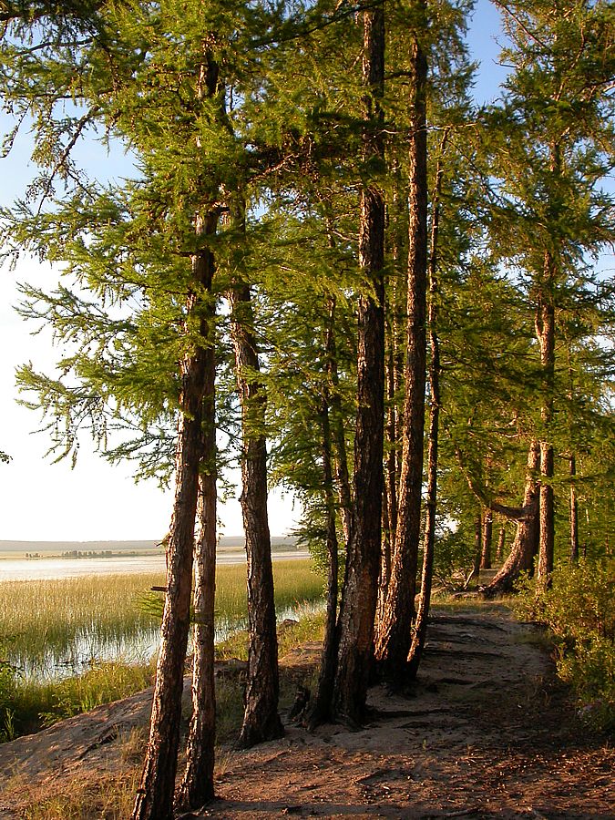 Ундугун, image of landscape/habitat.