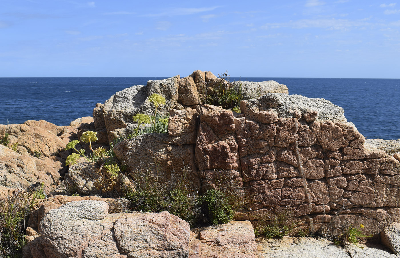 Окрестности Платжа-Фонда, image of landscape/habitat.