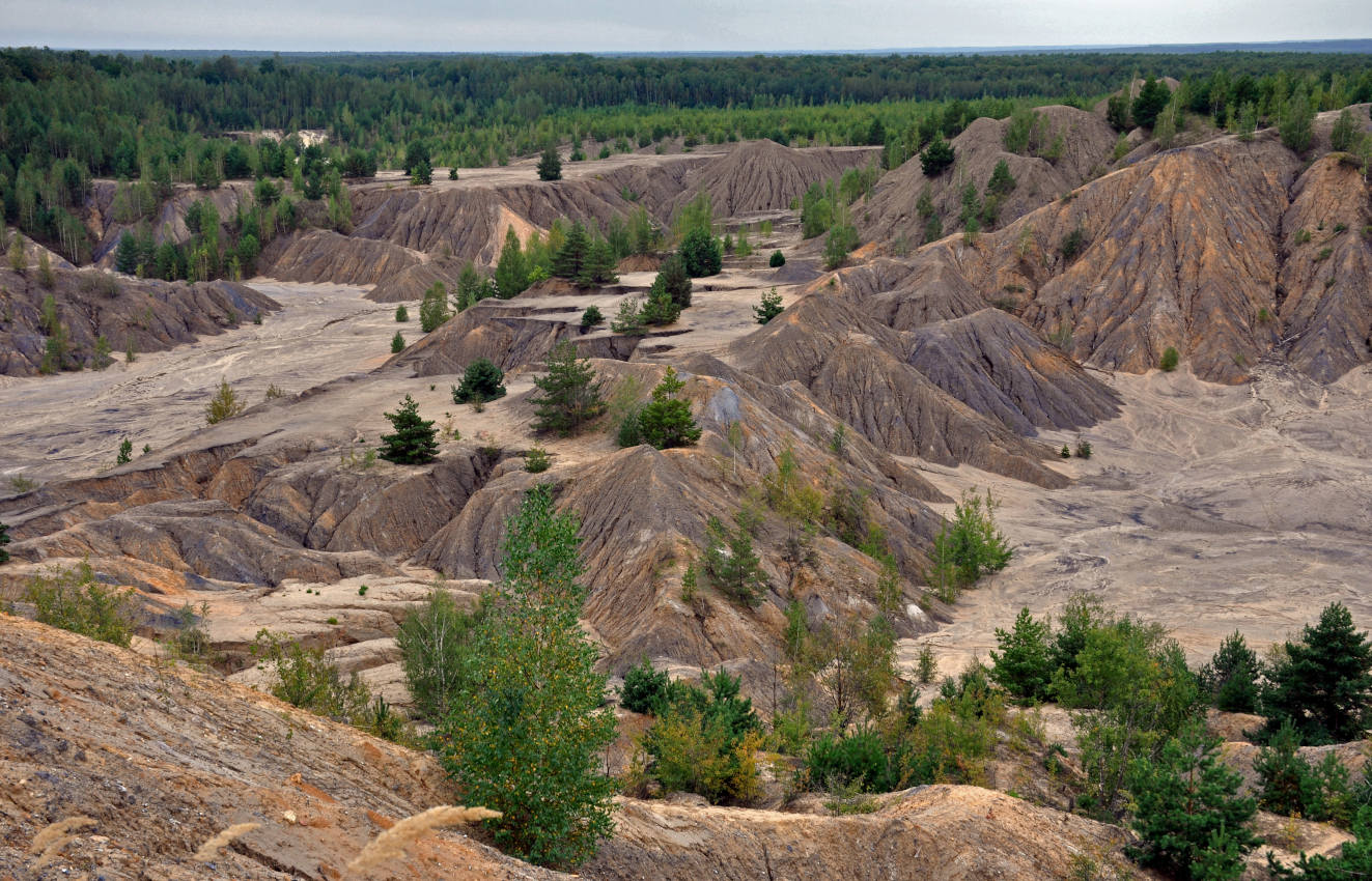 Суворовские карьеры, image of landscape/habitat.