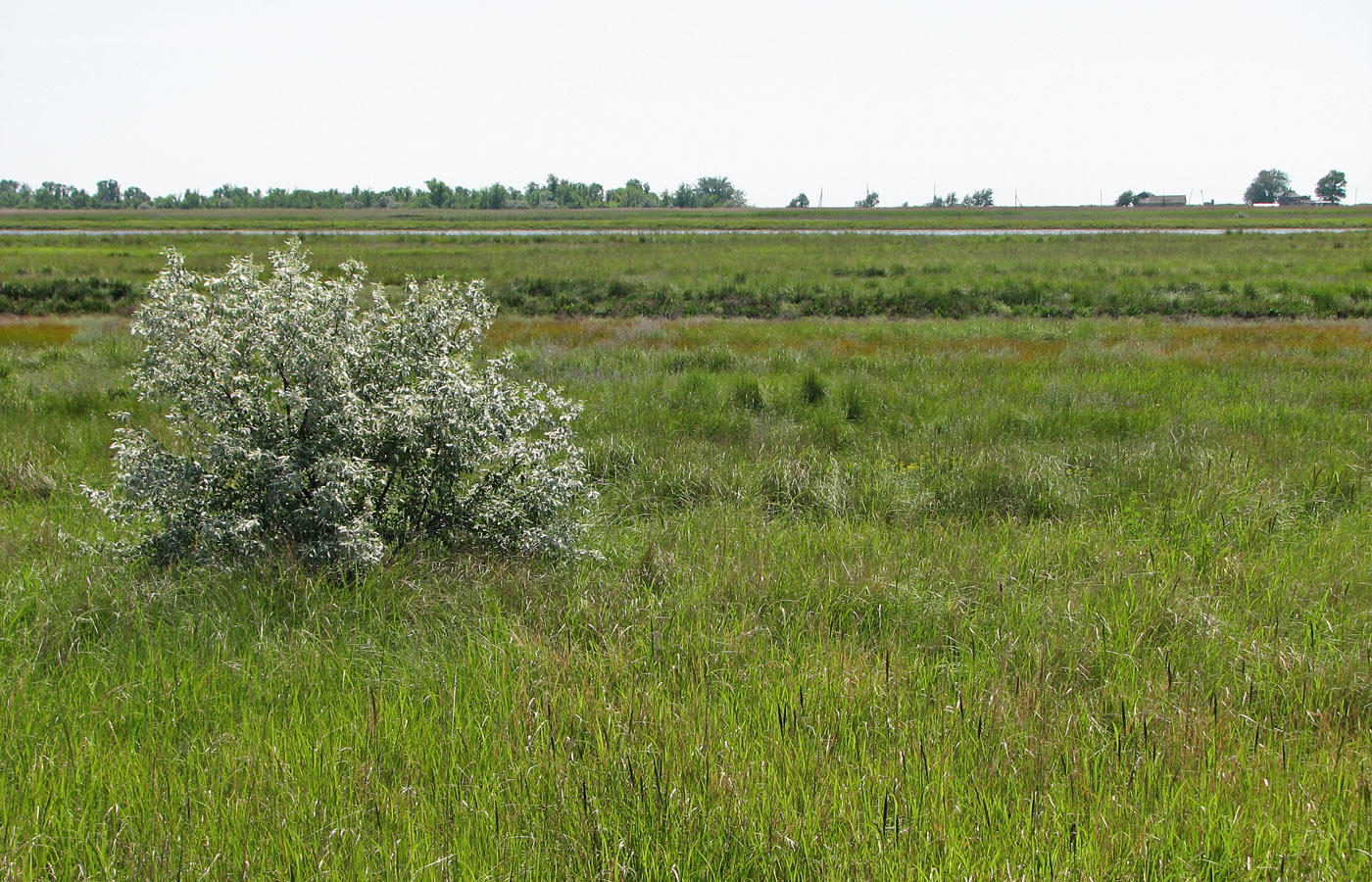 Белосарайская коса, image of landscape/habitat.