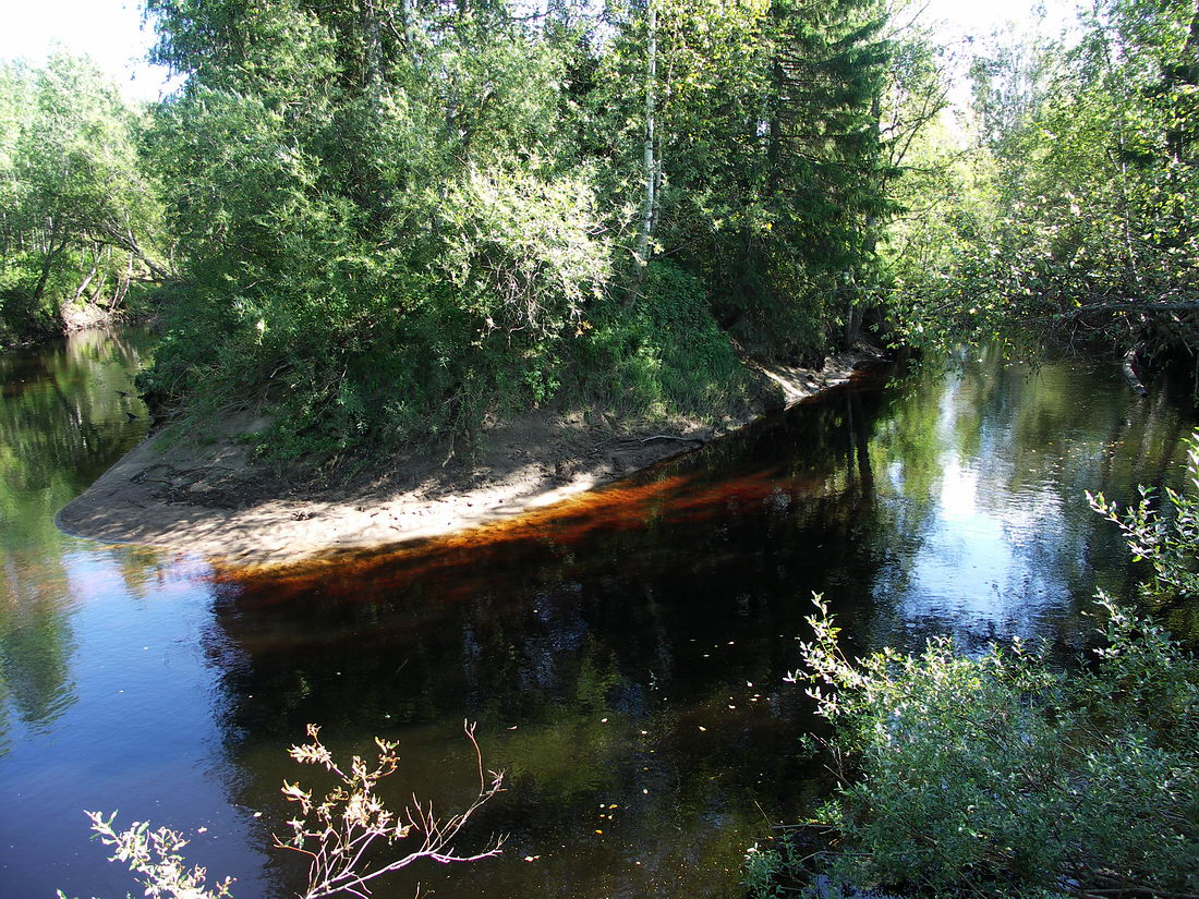 Куртяево, image of landscape/habitat.