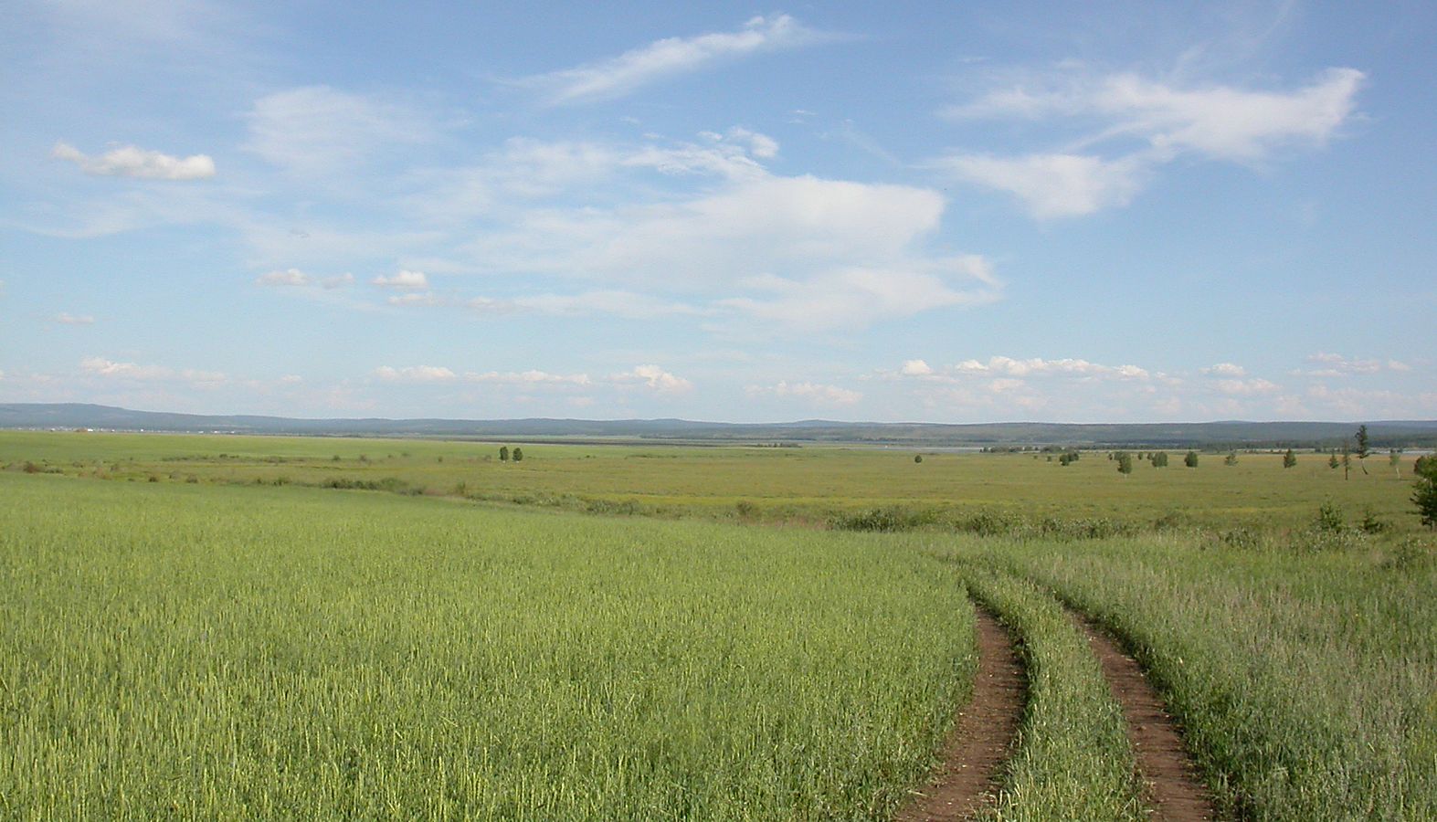 Ундугун, image of landscape/habitat.