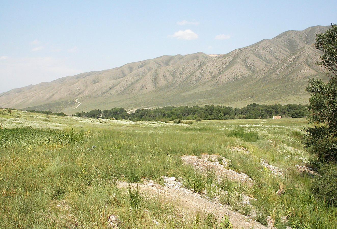 Верховья Шарына, image of landscape/habitat.