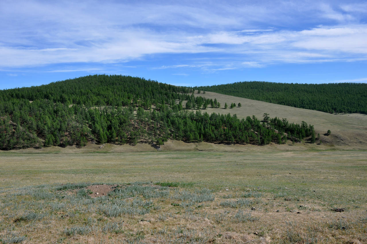 Долина реки Суман-Гол, image of landscape/habitat.