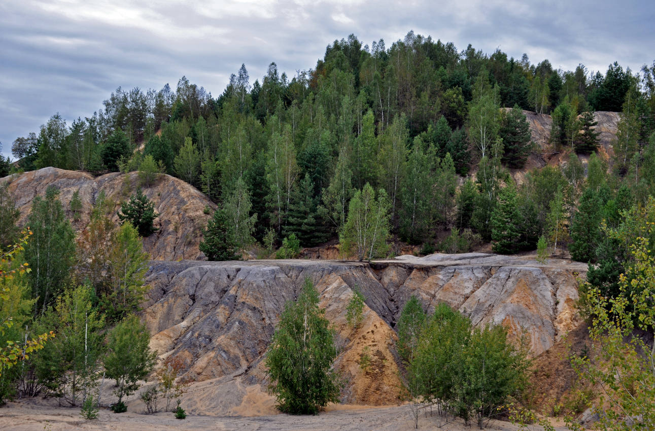 Суворовские карьеры, image of landscape/habitat.