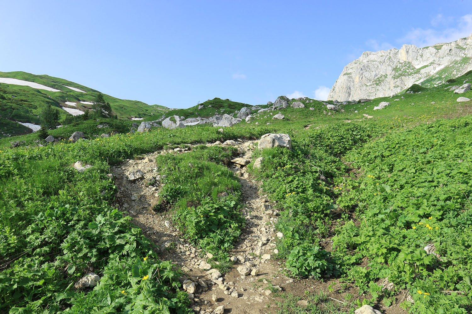 Гузерипльский перевал, image of landscape/habitat.