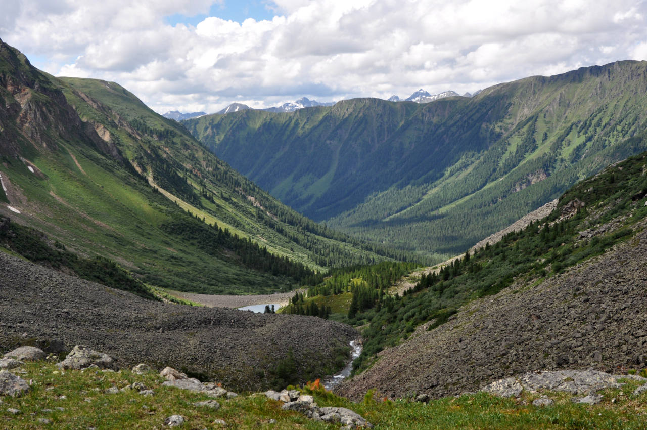 Долина реки Аржаан-Хем, image of landscape/habitat.