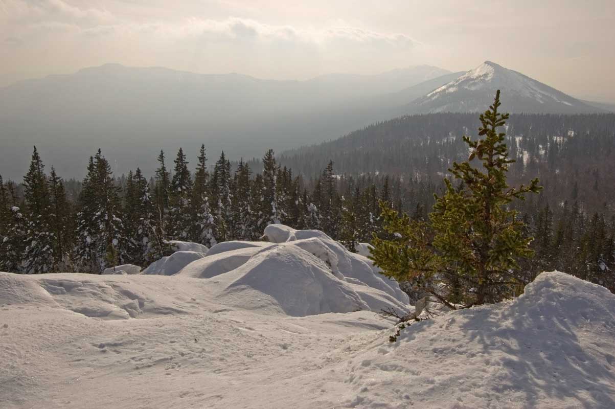 Хребет Большая Сукá, image of landscape/habitat.