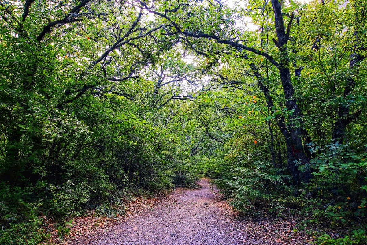 Аюдаг, image of landscape/habitat.