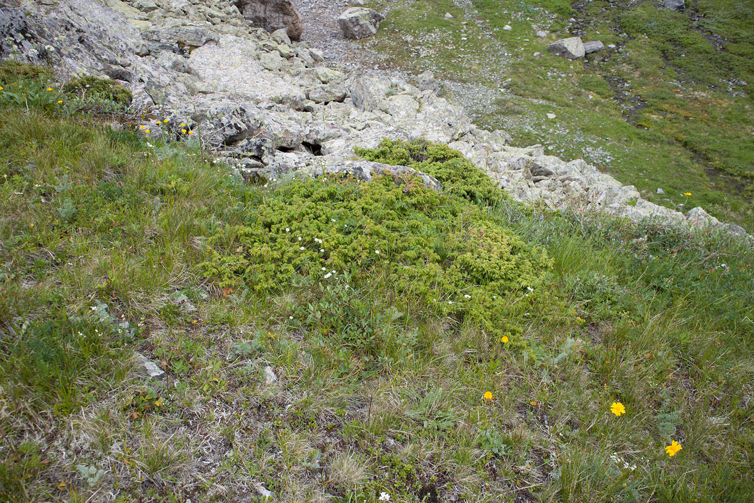 Долина Тихого ручья, image of landscape/habitat.