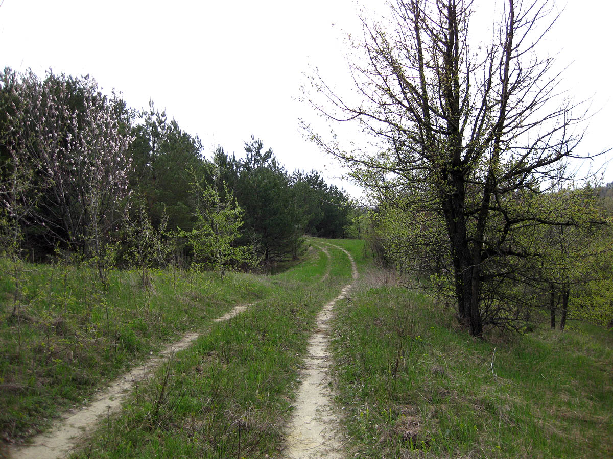 Трахтемиров, image of landscape/habitat.