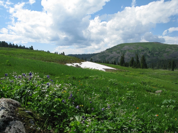 Локаторная гора, image of landscape/habitat.