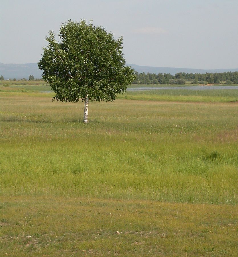 Ундугун, image of landscape/habitat.