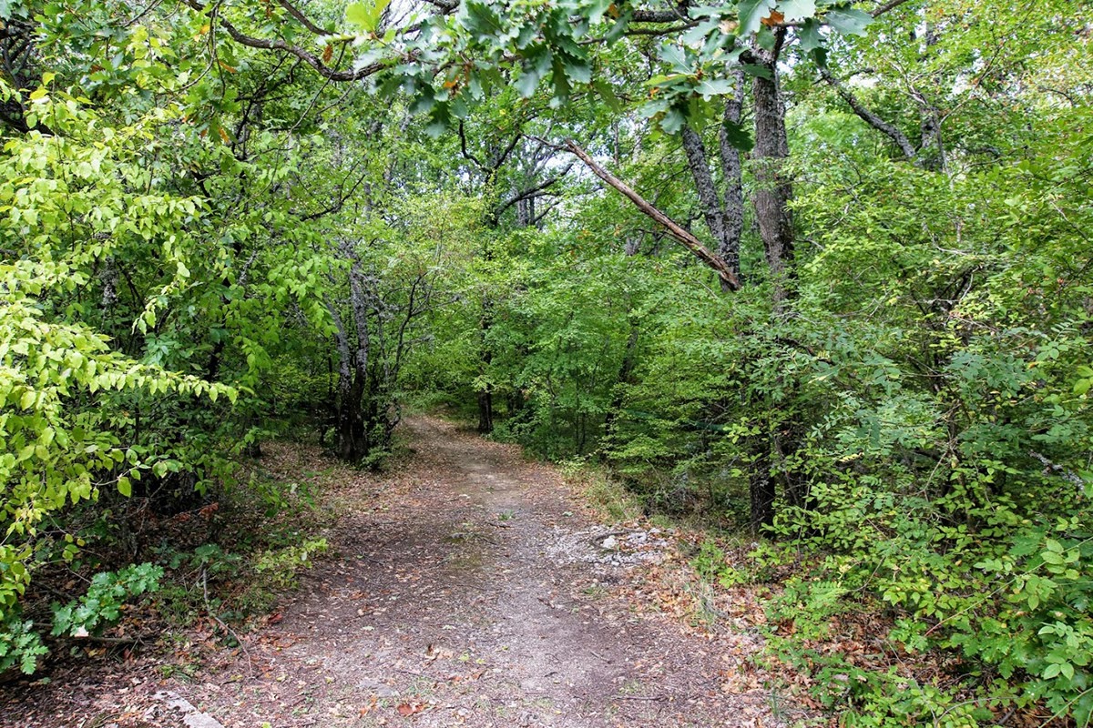 Аюдаг, image of landscape/habitat.