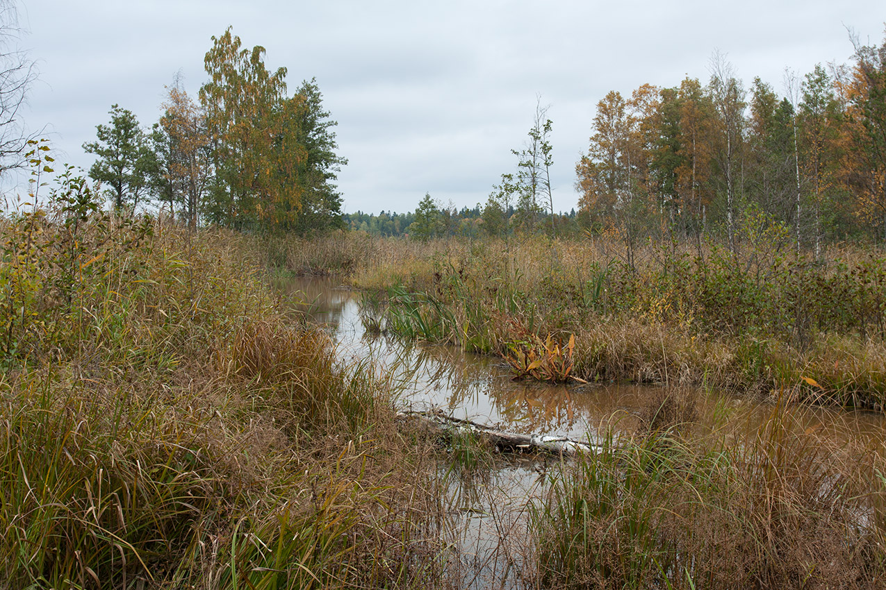 Мыс Дубовский, image of landscape/habitat.