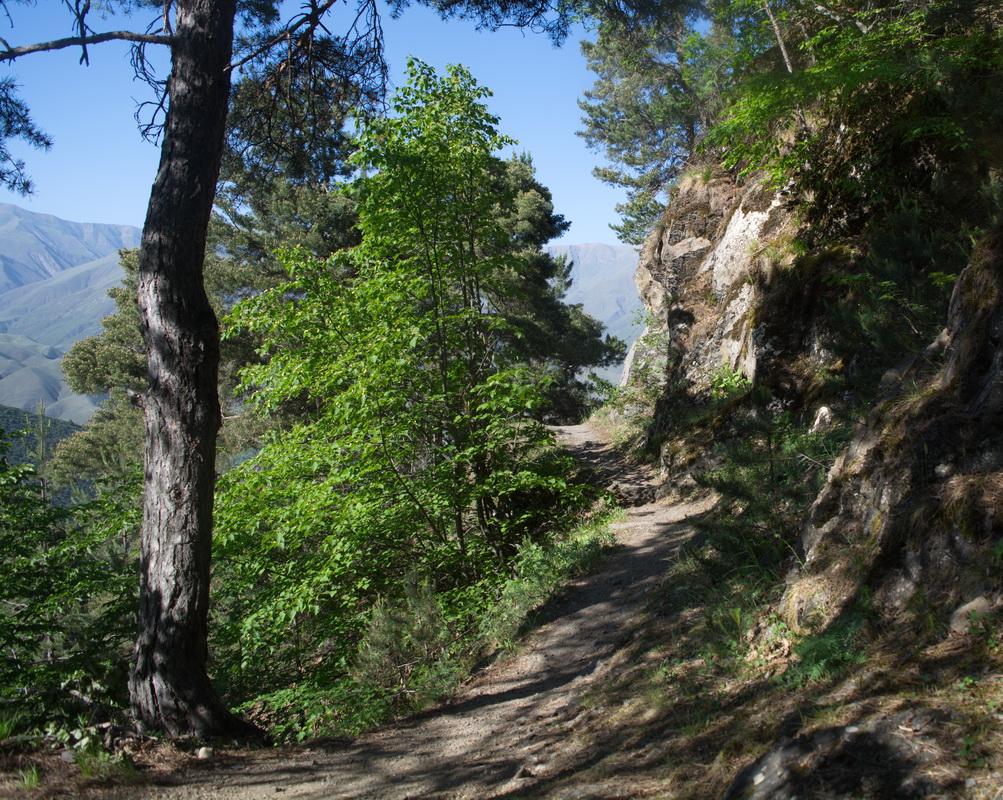 Окрестности села Хрюг, image of landscape/habitat.