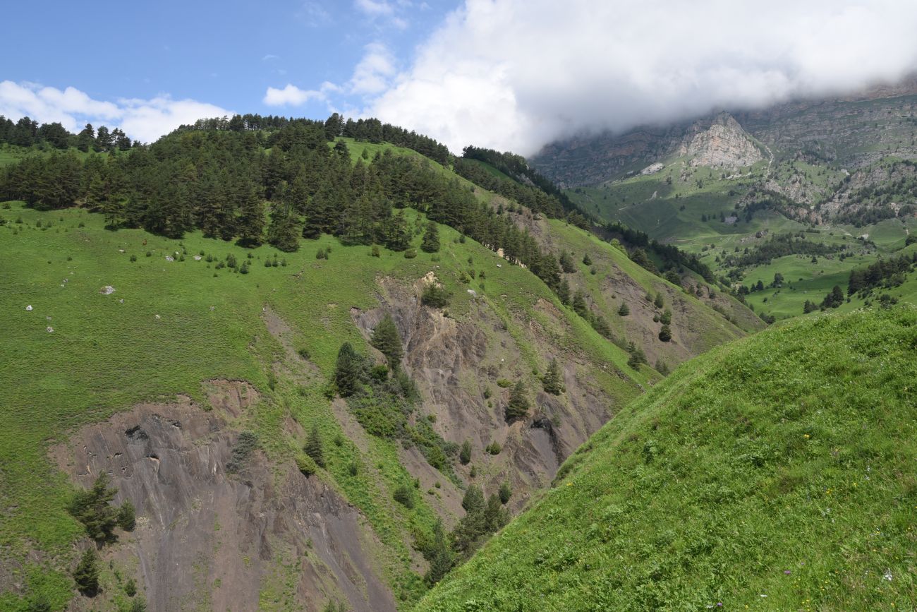 Окрестности урочища Мусиево, image of landscape/habitat.