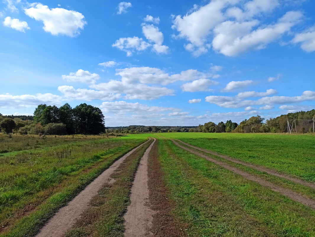 Тарусский луг, image of landscape/habitat.