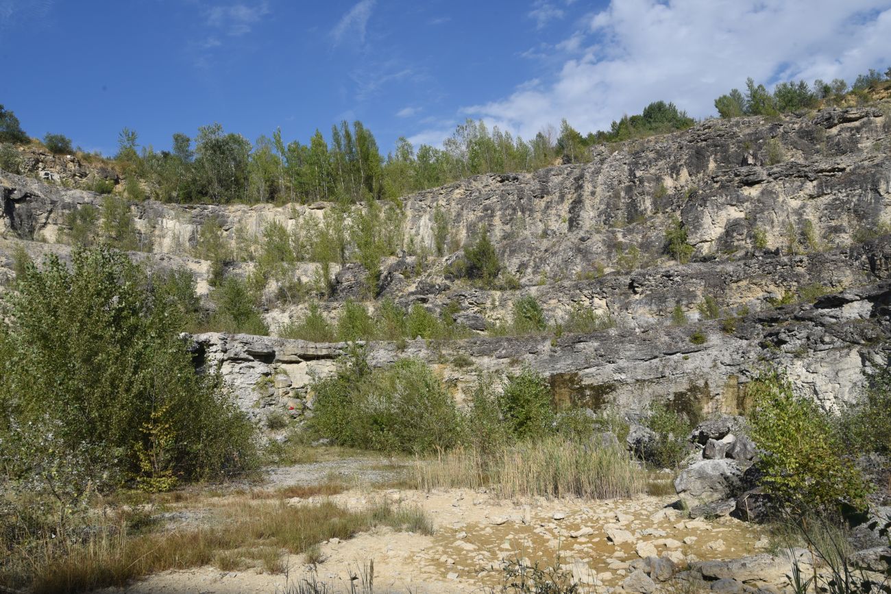 Известняковый карьер, image of landscape/habitat.