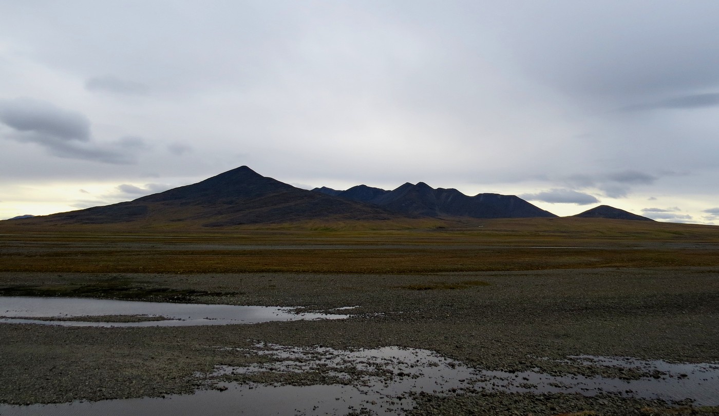 Гора Заячья, image of landscape/habitat.