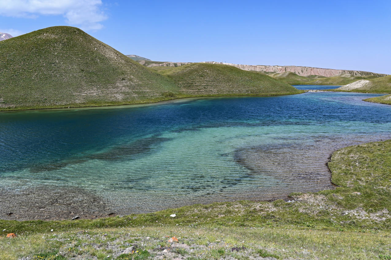 Озеро Тулпар-Кёль, image of landscape/habitat.