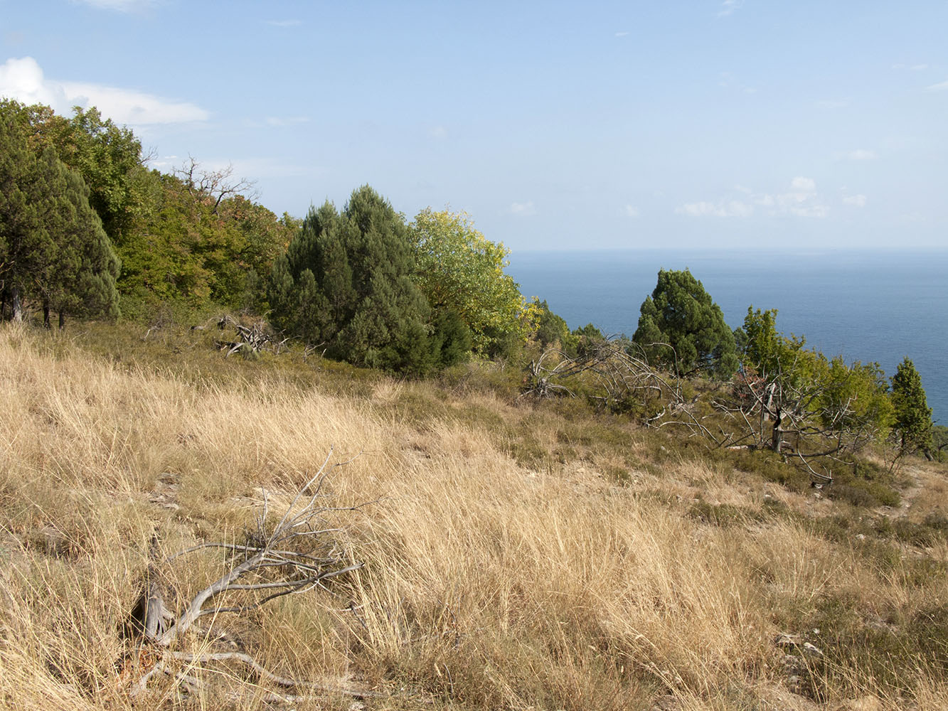 Широкая Балка, image of landscape/habitat.