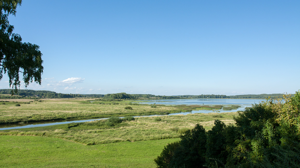 Михайловское, image of landscape/habitat.