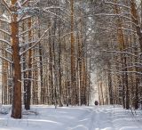 Окрестности Уразово, image of landscape/habitat.