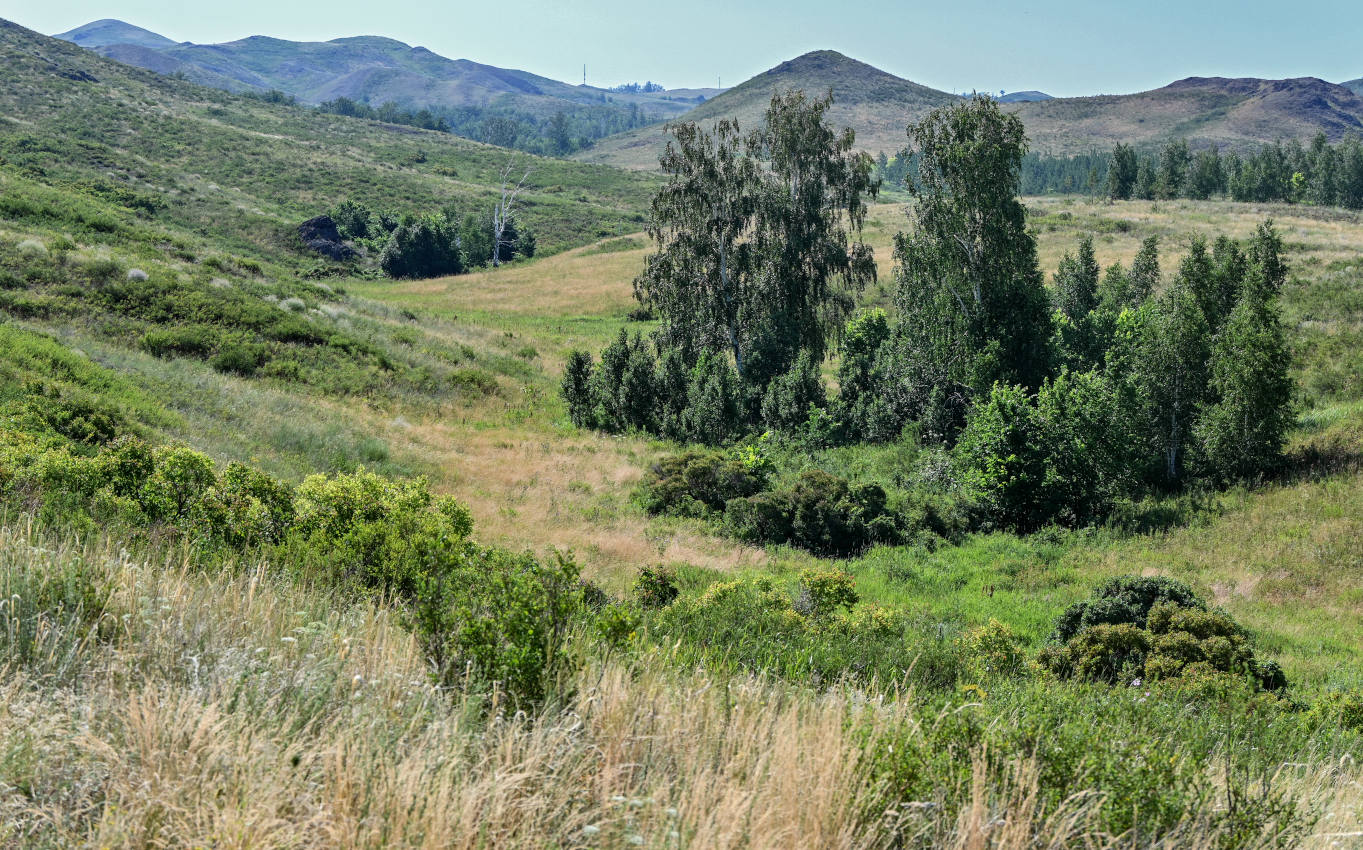 Первое Юмагузино, image of landscape/habitat.