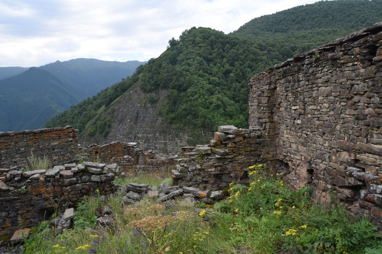 Шикарой и окрестности, image of landscape/habitat.