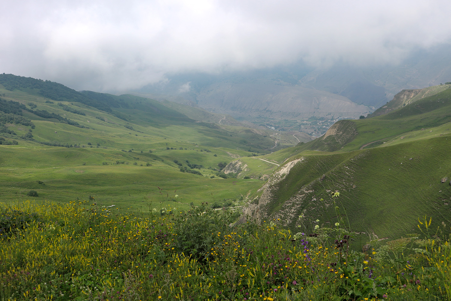 Хашхасу, image of landscape/habitat.