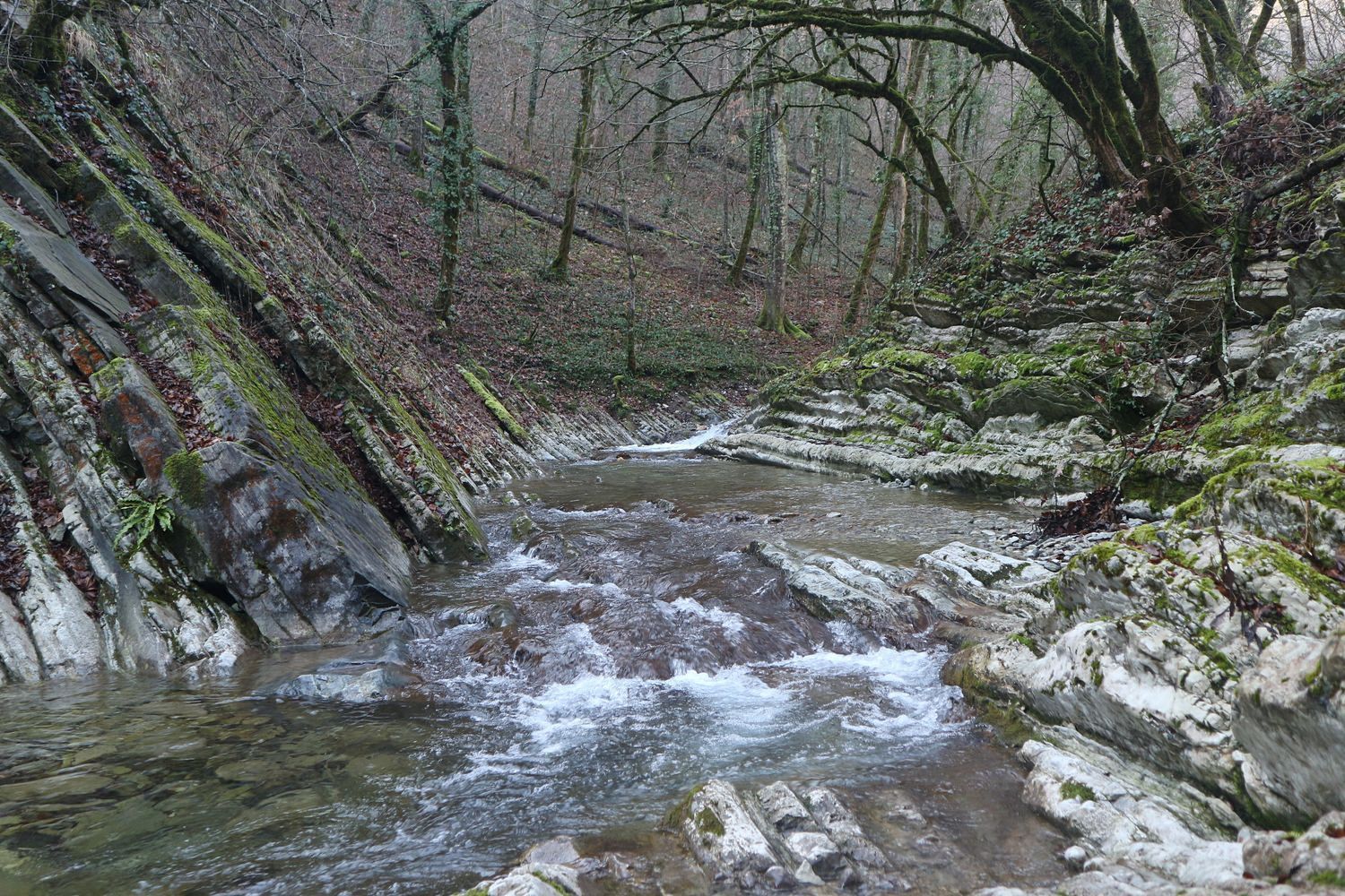 Полковничья щель, image of landscape/habitat.