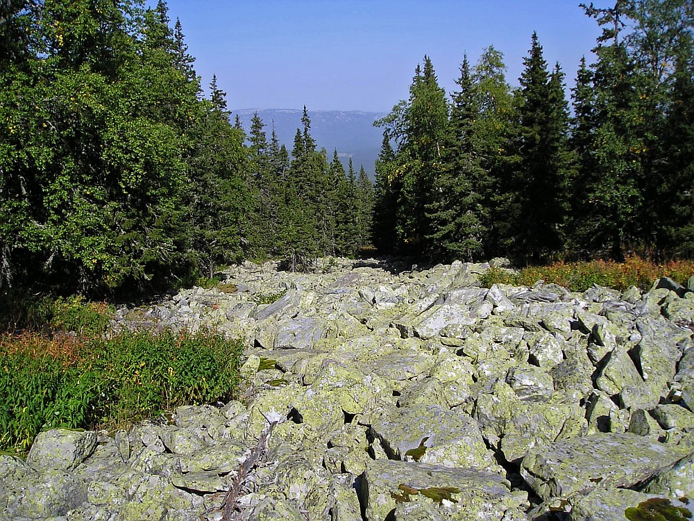 Большой Иремель, image of landscape/habitat.